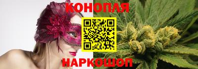 дмт Будённовск