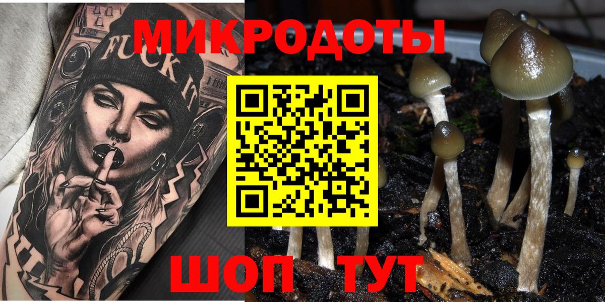 где можно купить наркотик  Вход с VPN  Мценск  Галлюциногенные грибы мухоморы 