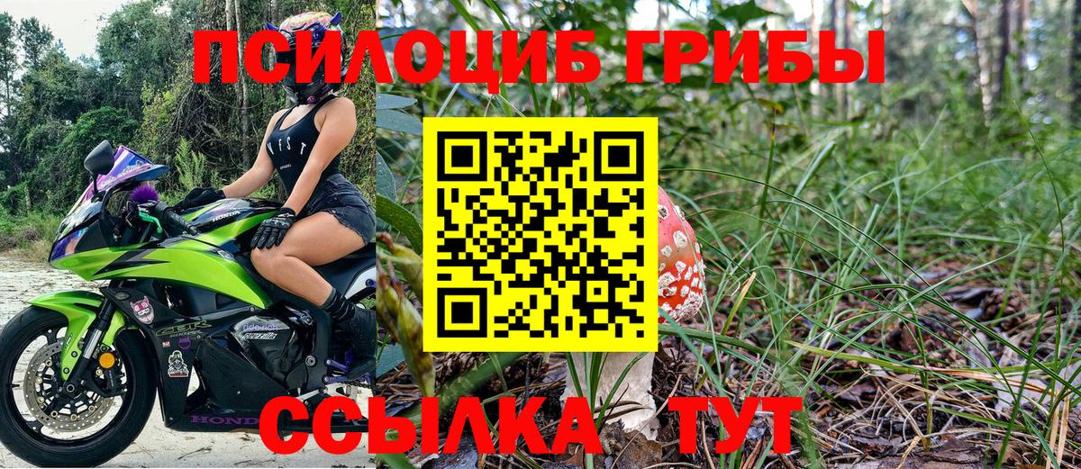 Псилоцибиновые грибы мицелий Мценск